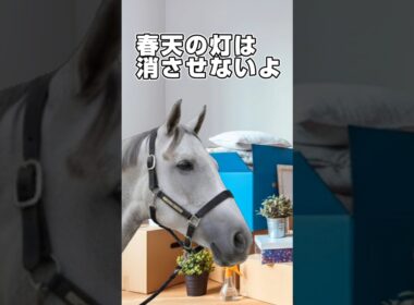 『ゴルシも勝った天皇賞春の灯』