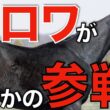 天皇賞春に価値はあった！？最強馬クロワデュノールがまさかの参戦へ。
