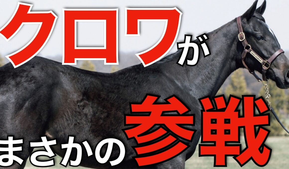 天皇賞春に価値はあった！？最強馬クロワデュノールがまさかの参戦へ。