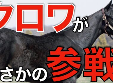 天皇賞春に価値はあった！？最強馬クロワデュノールがまさかの参戦へ。