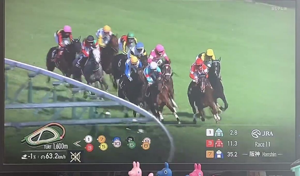 【競馬実況動画2026】第69回阪神牝馬ステークス エンブロイダリー（クリストフ・ルメール）