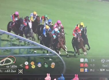 【競馬実況動画2026】第69回阪神牝馬ステークス エンブロイダリー（クリストフ・ルメール）