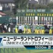 中山11R 第44回ニュージーランドトロフィー（GⅡ） 〈NHKマイルカップトライアル〉