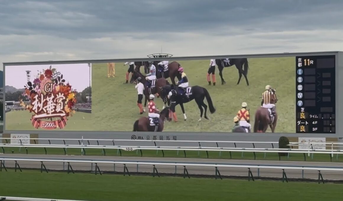 【現地】秋華賞2025 煽りV〜ファンファーレ