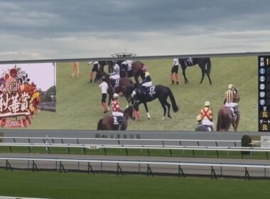 【現地】秋華賞2025 煽りV〜ファンファーレ