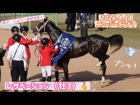 【かわいい催促🐴💨】シャワーがしたいとアピールするレザベーション（牡3）☺️重賞初制覇おめでとう㊗️