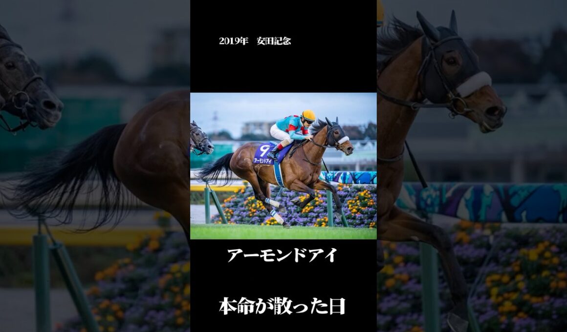一番人気、進路無し【2019年 安田記念】#競馬 #安田記念 #アーモンドアイ #一番人気が飛んだレース#競馬あるある #ギャンブル