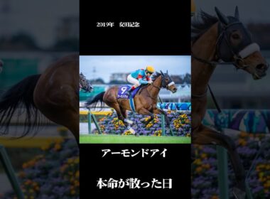 一番人気、進路無し【2019年 安田記念】#競馬 #安田記念 #アーモンドアイ #一番人気が飛んだレース#競馬あるある #ギャンブル