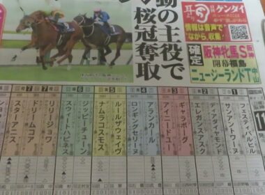 桜花賞　競馬展望です。