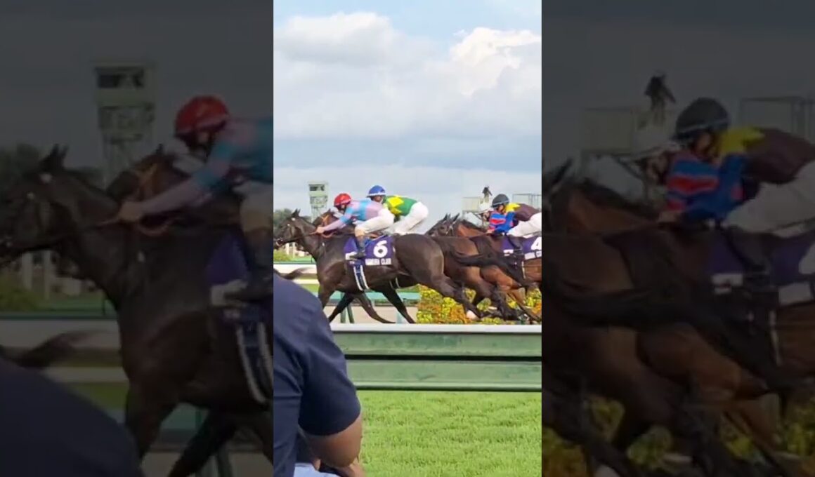 2025/9/28(日) 中山競馬場 スプリンターズS 現地 ゴール板前 ウインカーネリアン 三浦皇成 G1初制覇