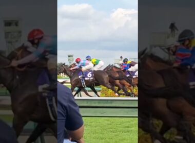 2025/9/28(日) 中山競馬場 スプリンターズS 現地 ゴール板前 ウインカーネリアン 三浦皇成 G1初制覇