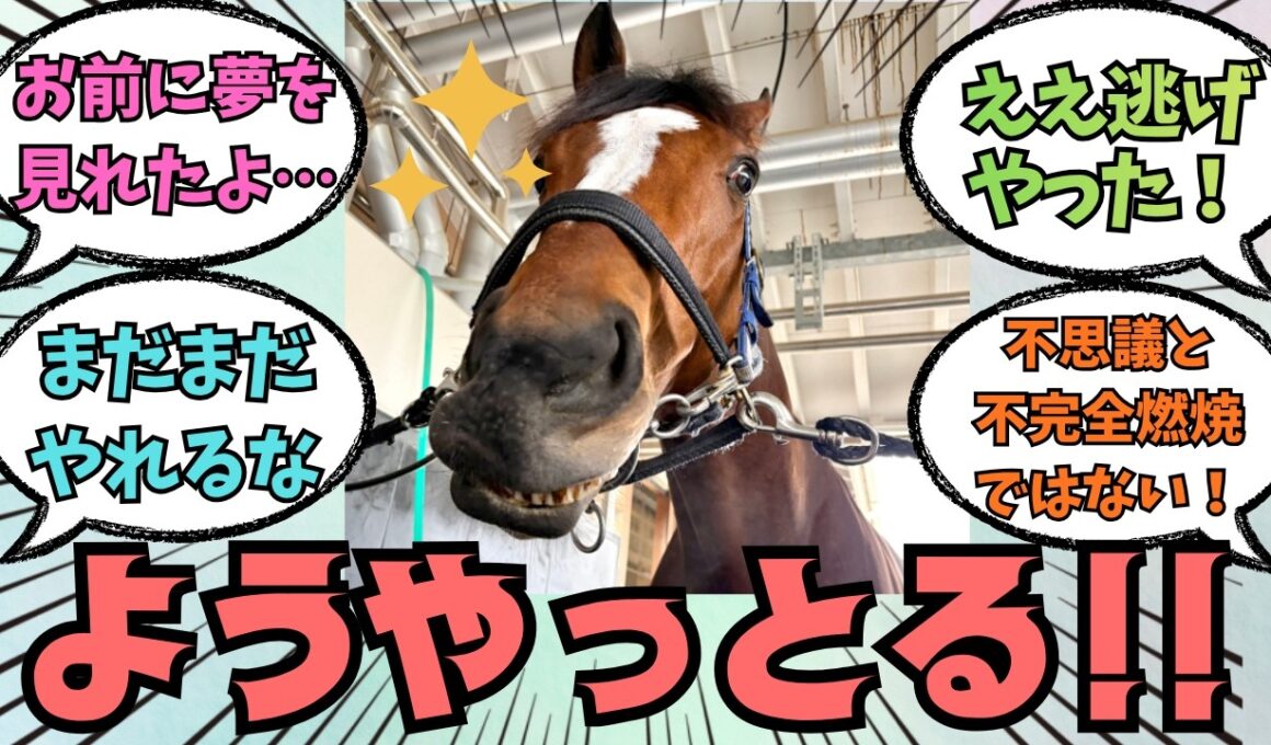 ★1万回突破★【メイショウタバル】速報！大阪杯で2着の快挙！！に対する競馬好きの反応【競馬の反応集】
