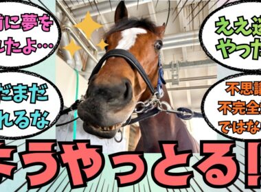 ★1万回突破★【メイショウタバル】速報！大阪杯で2着の快挙！！に対する競馬好きの反応【競馬の反応集】
