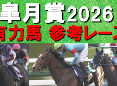 【難解な皐月賞の予想の参考に！】ＧⅠ馬カヴァレリッツォ・ロブチェンか？バステール、リアライズシリウス、グリーンエナジー、アルトラムス、ゾロアストロ、パントルナイーフら重賞馬か？皐月賞参考レースをお届け
