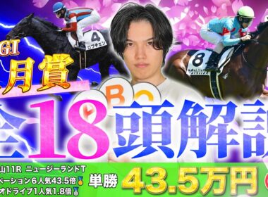 【2026皐月賞】全18頭完全解説！ニュージーランドT◎レザベーション6人気43.5倍🥇で絶好調のkotaが皐月賞データ分析＆全頭解説で徹底攻略！