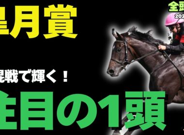 【皐月賞2026攻略】超混戦濃厚の大一番で買いたい馬とは！【競馬予想】