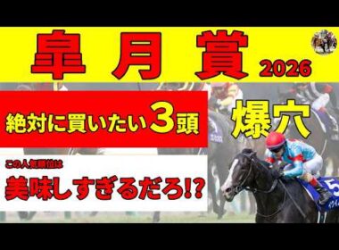 【皐月賞2026】カヴァレリッツォ、グリーンエナジー含め上位人気大混戦。中山でこそ絶対に買いたい３頭を推奨します！