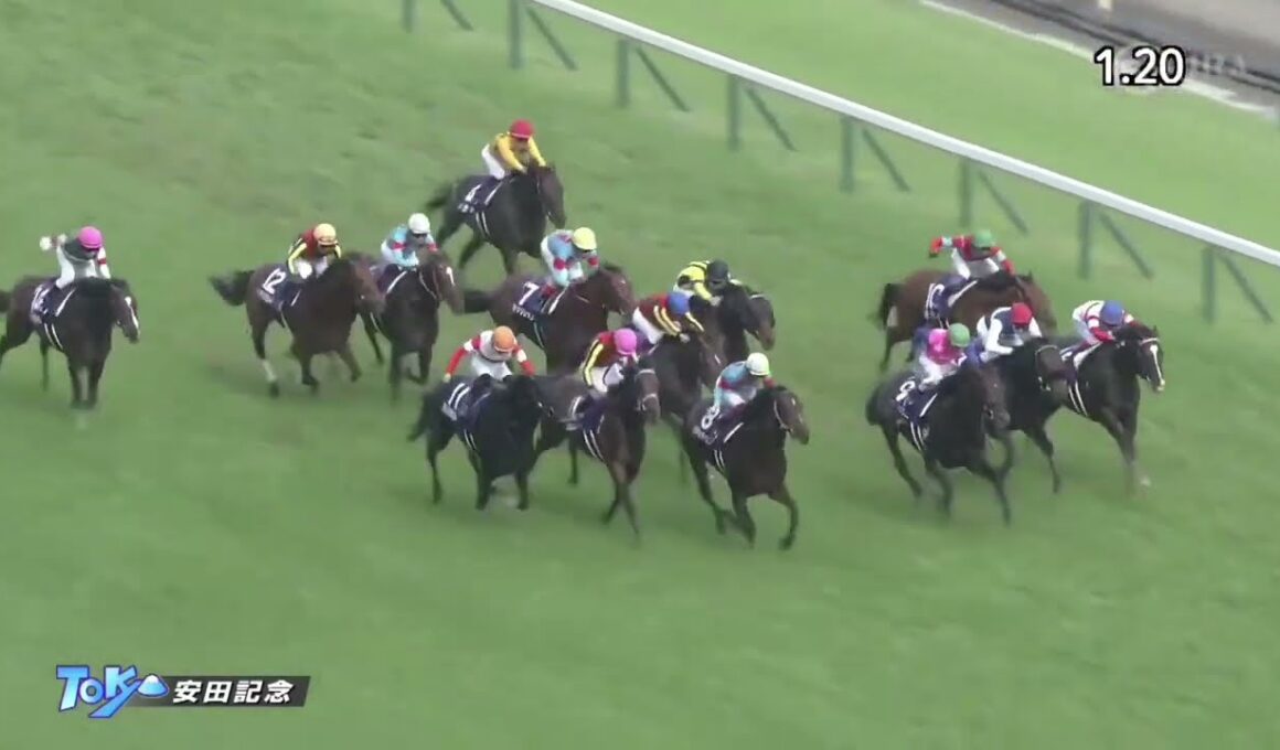 2021年 第71回 安田記念(G1)(ダノンキングリー、川田将雅)