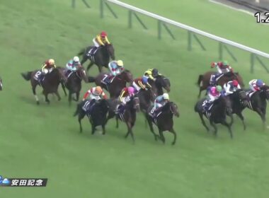 2021年 第71回 安田記念(G1)(ダノンキングリー、川田将雅)