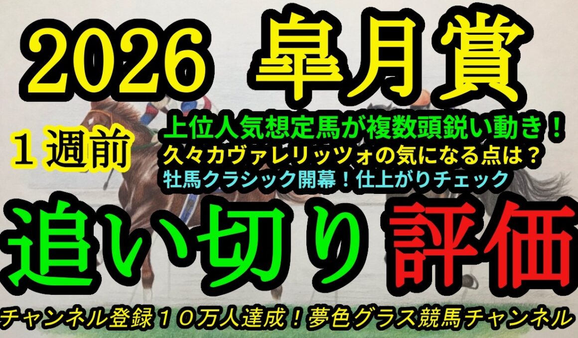 【1週前追い切り評価】2026皐月賞！牡馬クラシック初戦だけに狙ってきている馬が多数！？カヴァレリッツォの気になる点は？