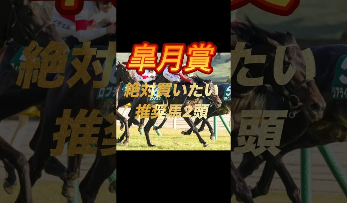 皐月賞2026 絶対買いたい推奨馬2頭紹介