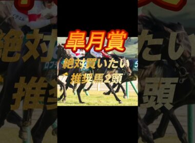 皐月賞2026 絶対買いたい推奨馬2頭紹介