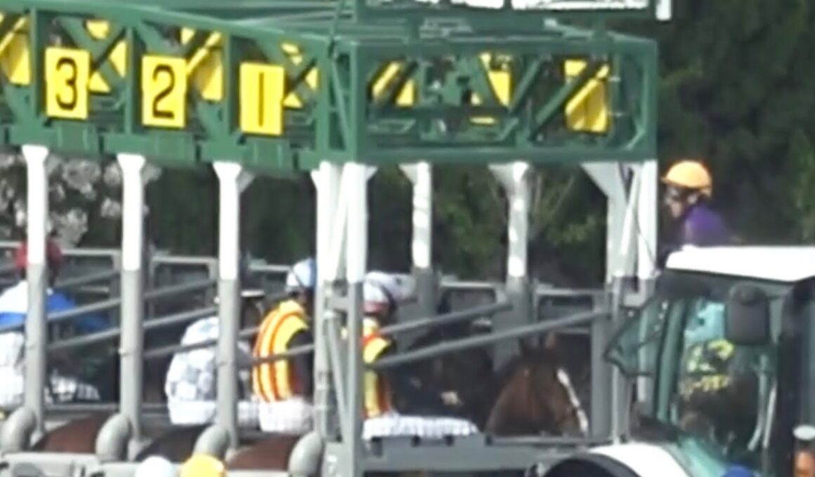 【珍事】桜花賞の生ファンファーレ後にリリージョワが発馬機内で突進しやり直し 2回目は録音ファンファーレが流れ観客達が失笑する【外枠発走 阪神競馬場】