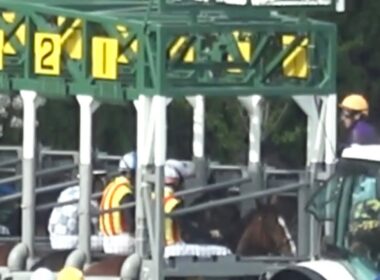 【珍事】桜花賞の生ファンファーレ後にリリージョワが発馬機内で突進しやり直し 2回目は録音ファンファーレが流れ観客達が失笑する【外枠発走 阪神競馬場】