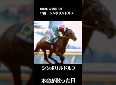 伏兵、皇帝を撃つ【1985年 天皇賞［秋］】#競馬 #天皇賞秋 #天皇賞 #シンボリルドルフ #ギャロップダイナ #名馬 #一番人気が飛んだレース