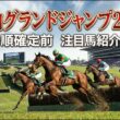 【中山グランドジャンプ2026】枠順確定前　注目馬紹介 #中山グランドジャンプ