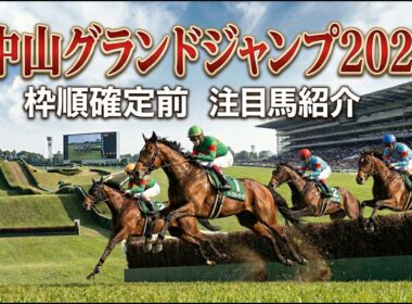 【中山グランドジャンプ2026】枠順確定前　注目馬紹介 #中山グランドジャンプ