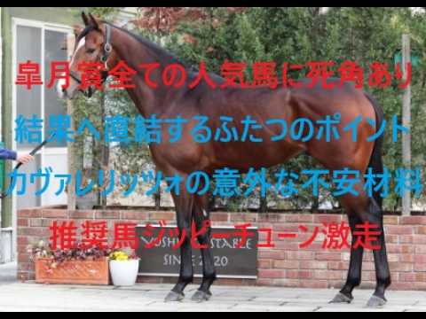 皐月賞　結果へ直結するふたつのポイント　全ての人気馬に死角あり　カヴァレリッツォの意外な不安材料　調教推奨馬ジッピーチューン激走