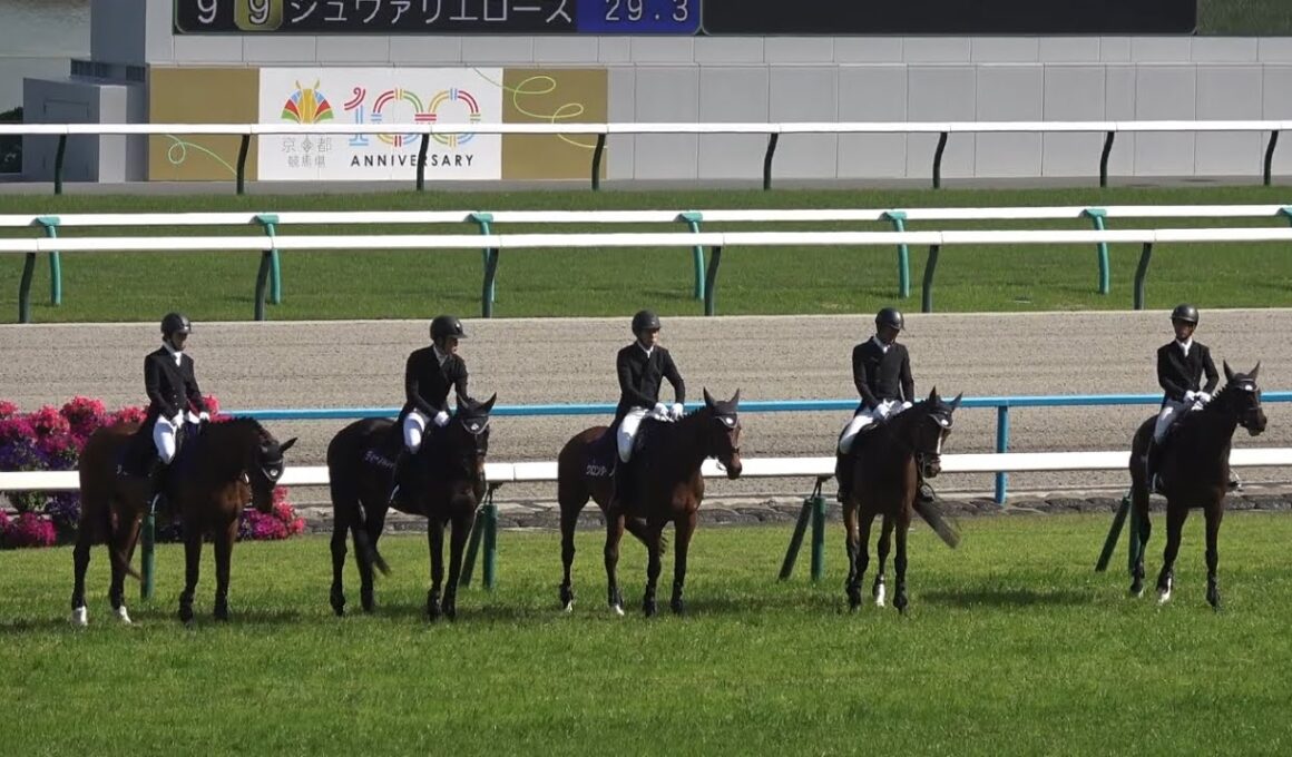 【現地 本馬場入場】2025 G1 天皇賞(春) ザ・チャンピオン 【京都競馬場 ディープボンドは４年連続の天皇賞春出現】