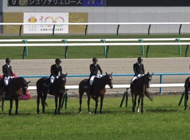 【現地 本馬場入場】2025 G1 天皇賞(春) ザ・チャンピオン 【京都競馬場 ディープボンドは４年連続の天皇賞春出現】