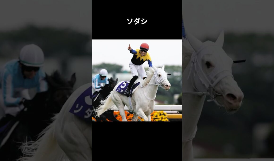 白毛のアイドル、無垢な未来へ #ソダシ #競馬 #shorts #桜花賞 #阪神jf #オークス #秋華賞 #ヴィクトリアマイル #札幌記念 #ウマ娘
