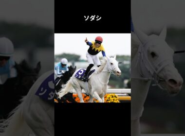 白毛のアイドル、無垢な未来へ #ソダシ #競馬 #shorts #桜花賞 #阪神jf #オークス #秋華賞 #ヴィクトリアマイル #札幌記念 #ウマ娘