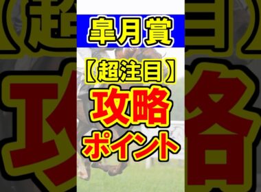 【皐月賞】超注目の攻略ポイント！ #競馬 #競馬予想 #皐月賞 #shorts