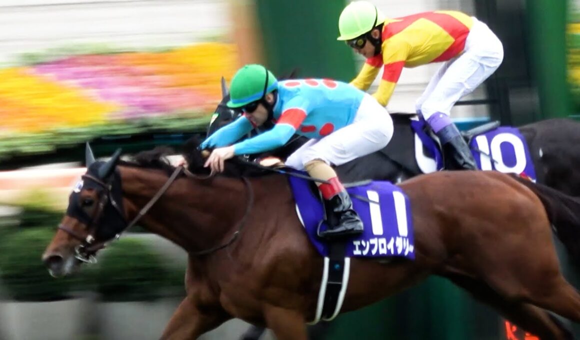 【秋華賞2025】逃げる武豊を捉えてエンブロイダリーに2冠目をプレゼントしたC.ルメールのウイニングラン 現地映像 生ファンファーレ付き