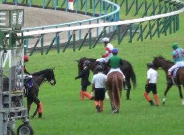 【秋華賞2025】ゲートへ行きたくない⁉⑮インヴォーグ 現地映像 ⑪エンブロイダリー