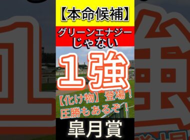 皐月賞 2026　混戦じゃないぞ！【化け物】登場！ １強！