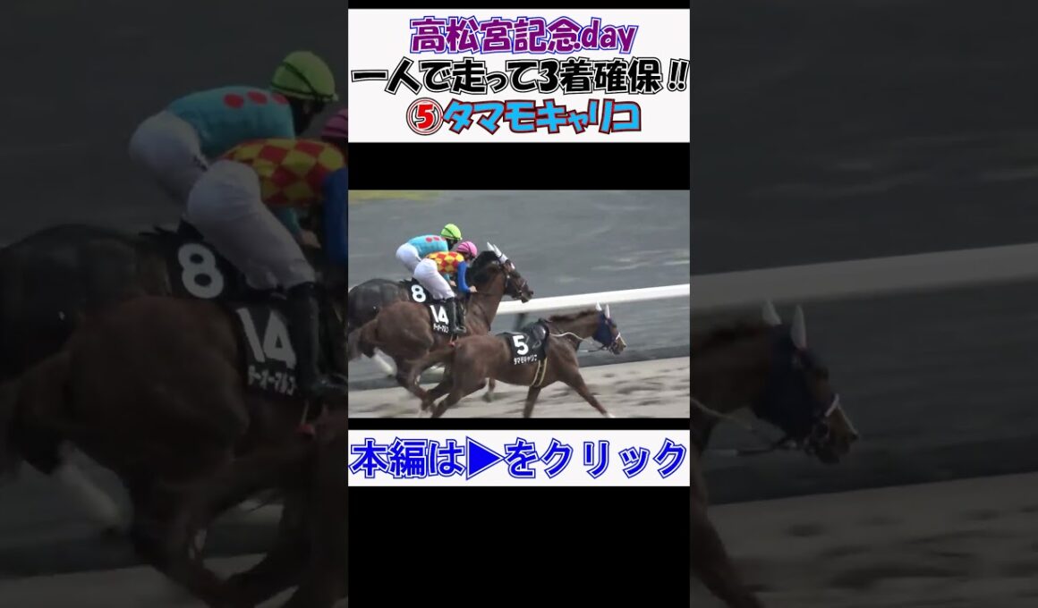#落馬 #放馬 #高松宮記念 day 第10Rで#タマモキャリコ 一人で走って3着確保‼ 最後は職員によって確保‼ 現地映像