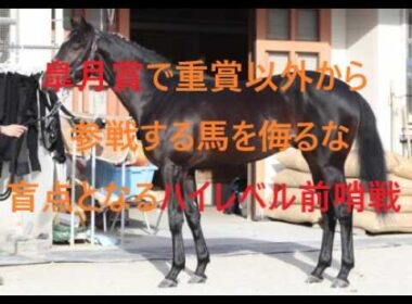 皐月賞　重賞以外から参戦する馬を侮るな　盲点となるハイレベル前哨戦