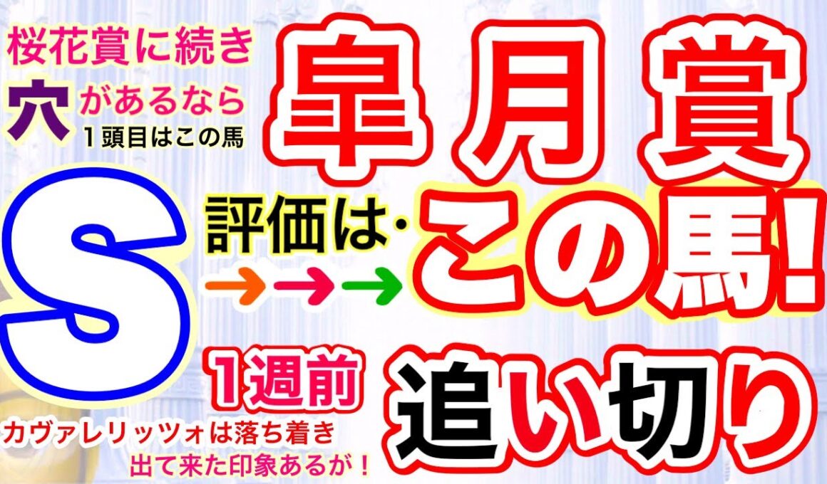 【皐月賞2026】穴党専科しーいちの1週前追い切り評価、人気割れ気味なのか？カヴァレリッツォは落ち着きが出て来た印象も穴はまずこの馬！