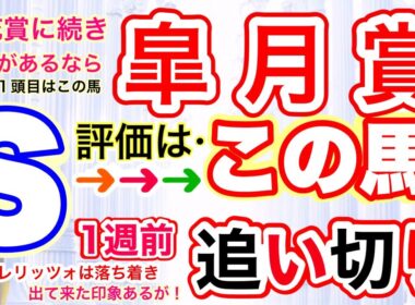 【皐月賞2026】穴党専科しーいちの1週前追い切り評価、人気割れ気味なのか？カヴァレリッツォは落ち着きが出て来た印象も穴はまずこの馬！