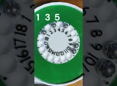 2025年5月11日 NHKマイルカップG1