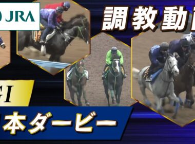 【調教動画】2025年 日本ダービー｜JRA公式