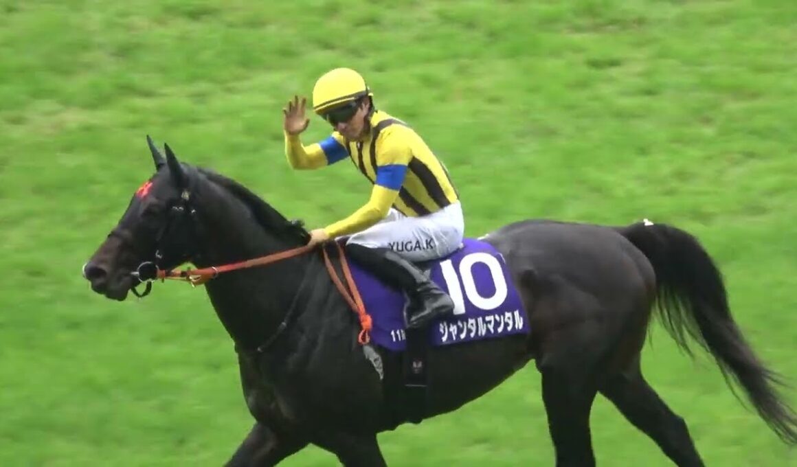 【安田記念2025】トレーナーとの約束ガッツポーズを披露の川田将雅 完勝だったジャンタルマンタル 現地映像