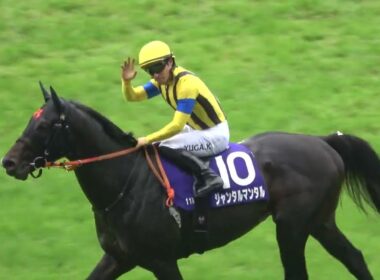 【安田記念2025】トレーナーとの約束ガッツポーズを披露の川田将雅 完勝だったジャンタルマンタル 現地映像