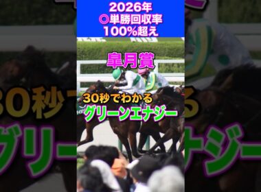 【皐月賞2026】30秒でわかるグリーンエナジー