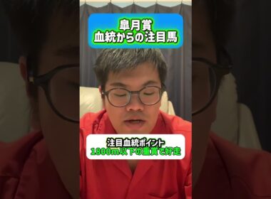 皐月賞血統からの注目馬#皐月賞 #注目馬 #血統